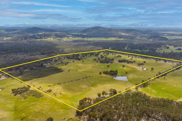 Main view of Homely ruralOther listing, 1335 Seymour-Tooborac Road, Hilldene VIC 3660