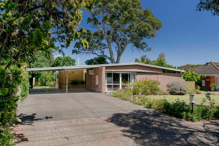 223 Daws Road, Pasadena SA 5042