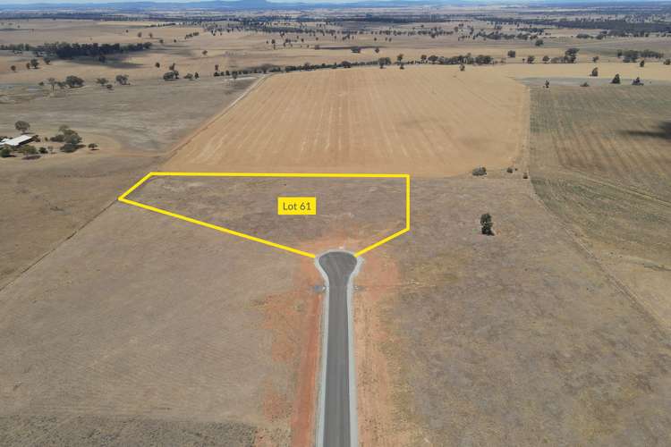 LOT 61, 16 Scenic Drive, Forbes NSW 2871