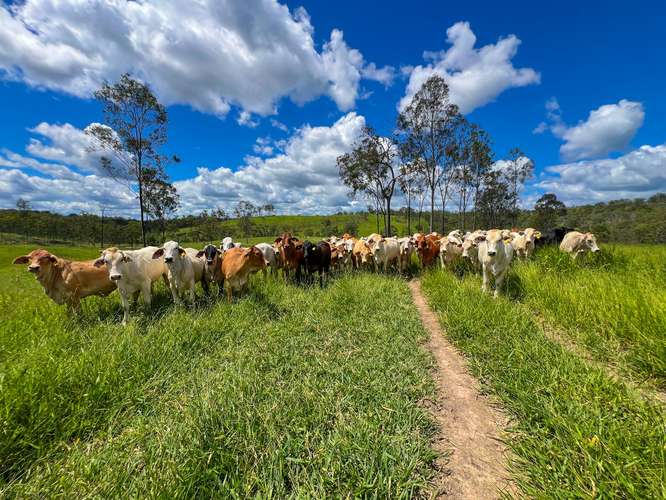LOT 167 Towns Creek Road, Mount Perry QLD 4671