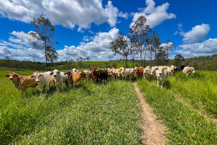 LOT 167 Towns Creek Road, Mount Perry QLD 4671