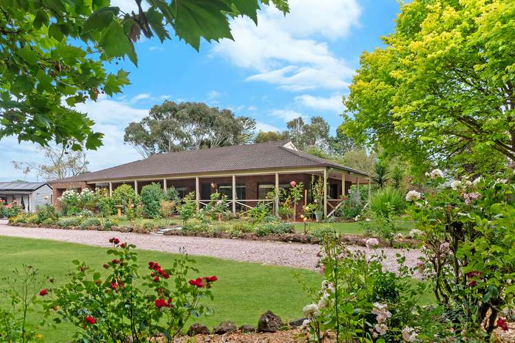 Main view of Homely house listing, 91 Dowling Street, Mortlake VIC 3272