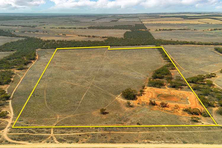 Lot 9 Stock Route Road, Brownlow SA 5374