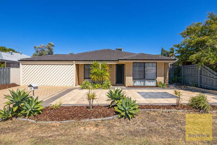 Main view of Homely house listing, 66 Lithgow Drive, Clarkson WA 6030