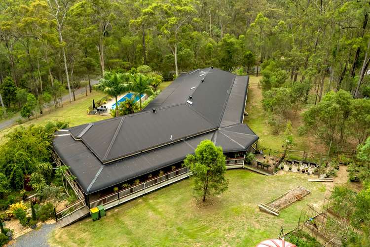 13 Maiden Hair Place, Willow Vale QLD 4209