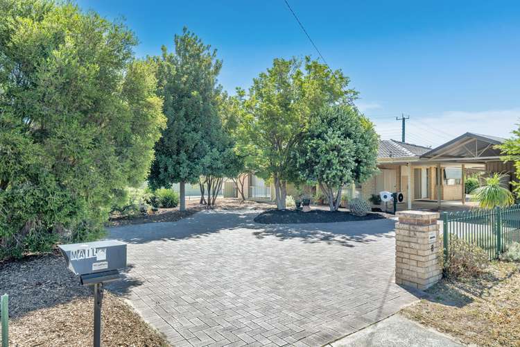 Main view of Homely house listing, 8 Jasminum Place, Pinjarra WA 6208