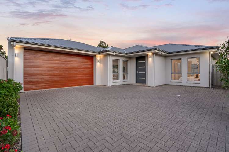 Main view of Homely house listing, 33a Allambee Avenue, Edwardstown SA 5039