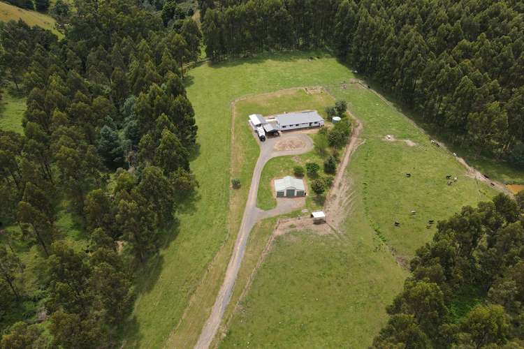137 O'Tooles Road, Wild Dog Valley VIC 3953