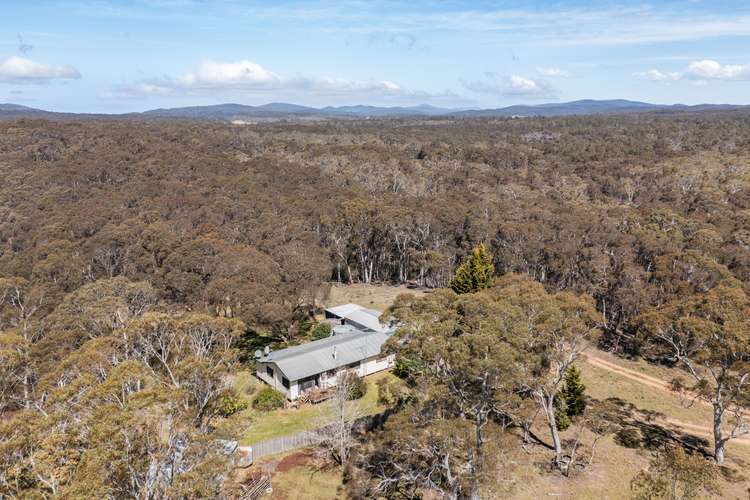 Main view of Homely lifestyle listing, 558 Northangera Road, Mongarlowe NSW 2622