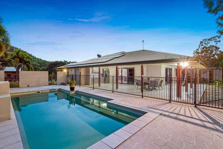 Main view of Homely house listing, 23 Treefern Terrace, Frenchville QLD 4701