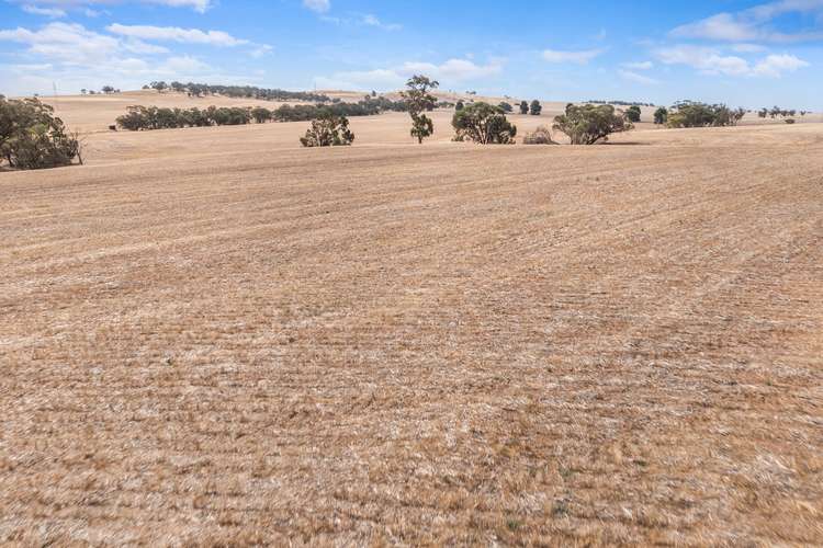 Seventh view of Homely cropping listing, 'Spiders' Gebhardt Road, Wirrabara SA 5481
