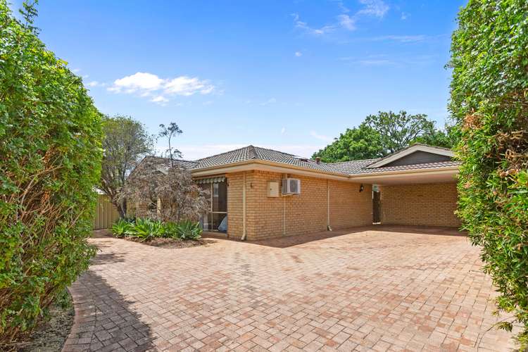 Main view of Homely villa listing, 6/68 Gildercliffe Street, Scarborough WA 6019