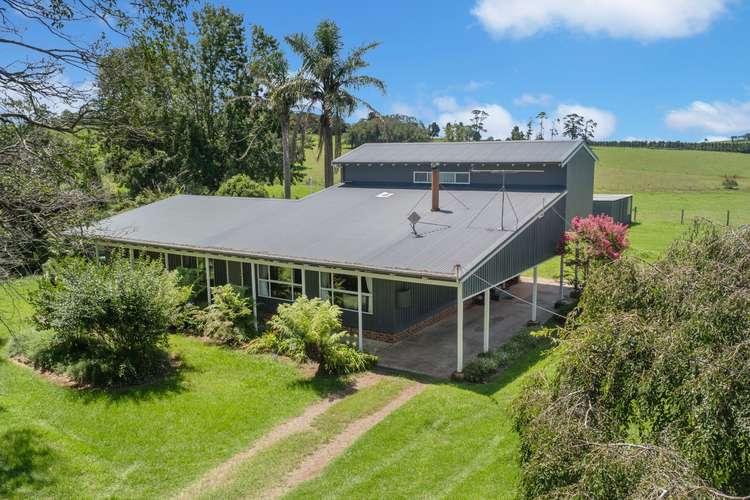 10 Hayden Street, North Dorrigo, Dorrigo NSW 2453