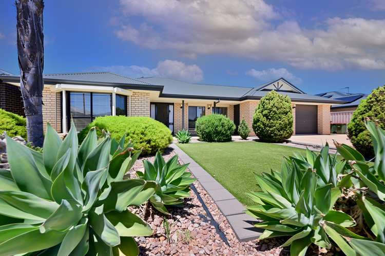 Main view of Homely house listing, 13 Custance Avenue, Whyalla Jenkins SA 5609