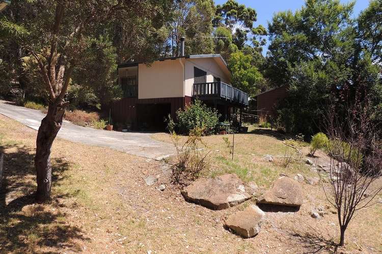 Main view of Homely house listing, 31 Bracknell Crescent, Denmark WA 6333