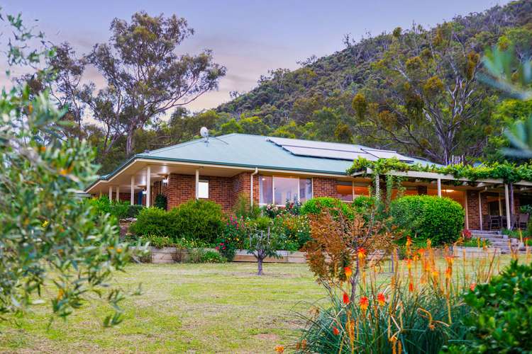 Main view of Homely house listing, 206 Yellow Box Road, The Angle NSW 2620