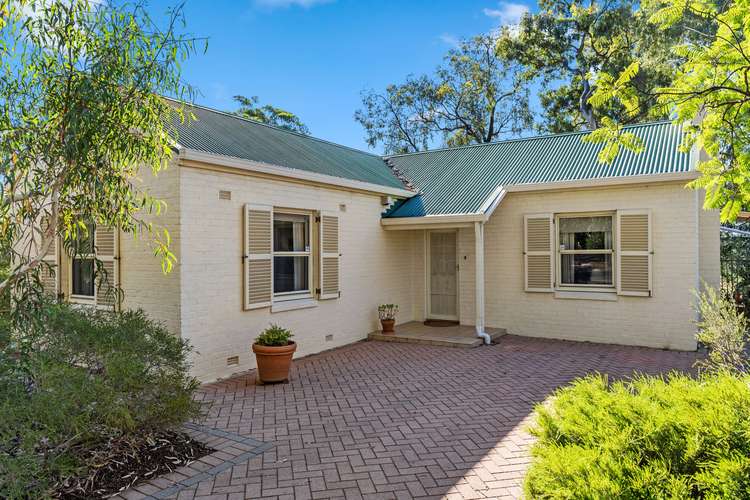 30 Minchinbury Terrace, Marion SA 5043