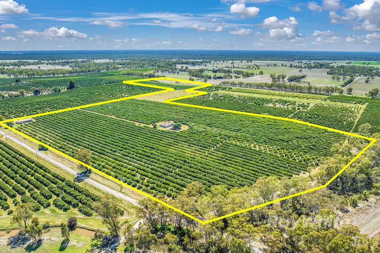 Second view of Homely rural property listing, ''Belltrees'' 75 Little Forest Lane, Barham NSW 2732