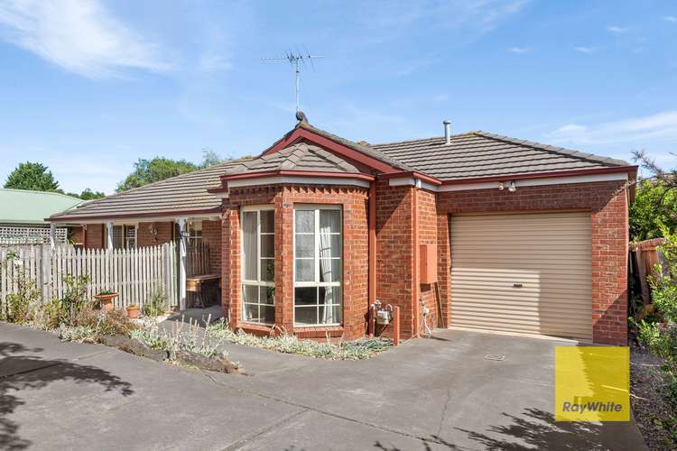 Main view of Homely unit listing, 3/10 Homewood Lane, Highton VIC 3216