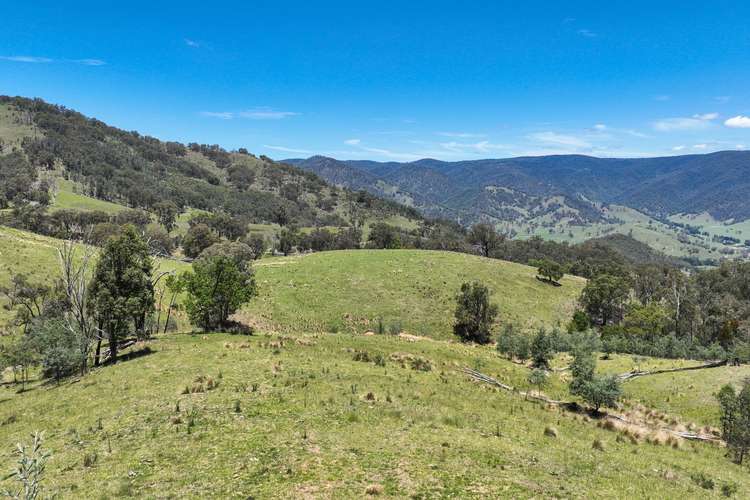 Main view of Homely ruralOther listing, 10 Nowendoc Road, Ogunbil NSW 2340