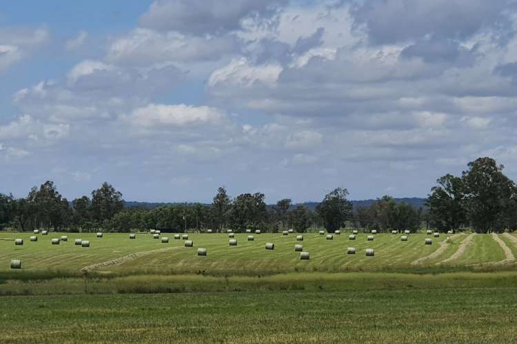 Main view of Homely cropping listing, 114 A Creek Road, Grosvenor, Eidsvold QLD 4627