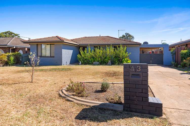 Main view of Homely house listing, 43 Crawford Street, Ashmont NSW 2650