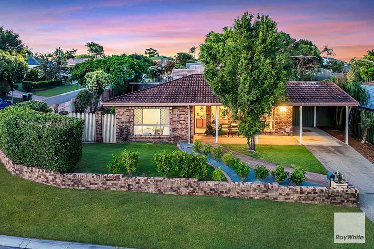 15 Trout Street, Thornlands QLD 4164