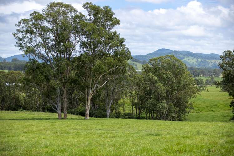 Fifth view of Homely ruralOther listing, 159 Bowman Farm Road, Gloucester NSW 2422