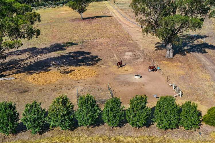 Seventh view of Homely ruralOther listing, 751 Police Paddocks Road, Carlyle VIC 3685