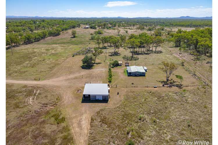 Main view of Homely livestock listing, 155 Dendle Road, Milman QLD 4702