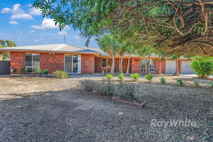 Main view of Homely house listing, 12 Rob Roy Court, Echuca VIC 3564