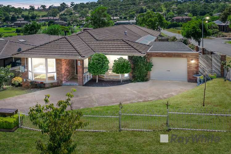 Main view of Homely house listing, 13 Redleap Court, Endeavour Hills VIC 3802