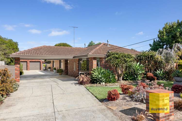 Main view of Homely house listing, 11 Oberon Drive, Belmont VIC 3216