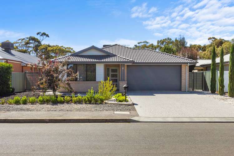 Main view of Homely house listing, 8 Schaedel Street, Nuriootpa SA 5355