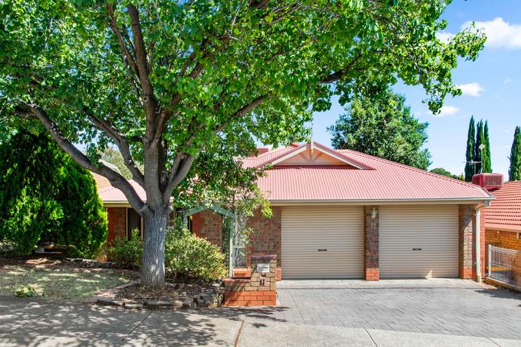 Main view of Homely house listing, 17 Pfitzner Place, Greenwith SA 5125