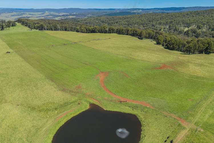 Main view of Homely mixedFarming listing, 4590 Brackendale Road, Nowendoc NSW 2354