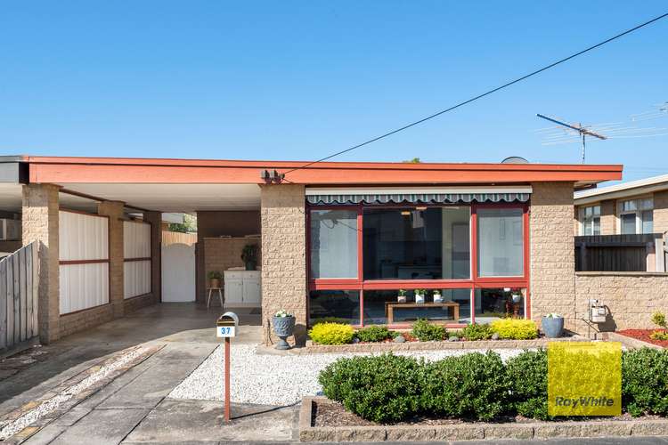 Main view of Homely unit listing, 37 Queen Street, Belmont VIC 3216