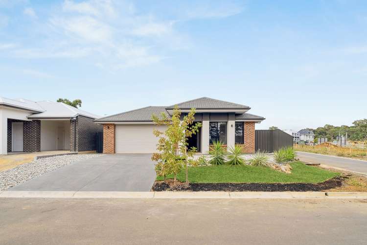 Main view of Homely house listing, 13 Spinebill Street, Mount Barker SA 5251
