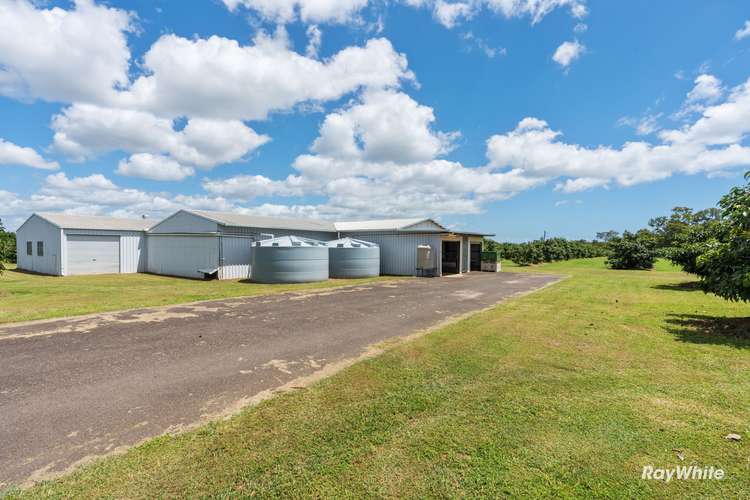 Fifth view of Homely acreageSemiRural listing, 6 Pashleys Road, Welcome Creek QLD 4670