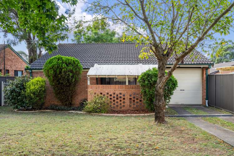 Main view of Homely house listing, 17 Cotula Place, Macquarie Fields NSW 2564