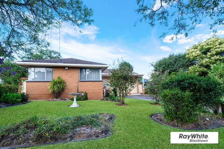 Main view of Homely house listing, 38 Julie Street, Blacktown NSW 2148