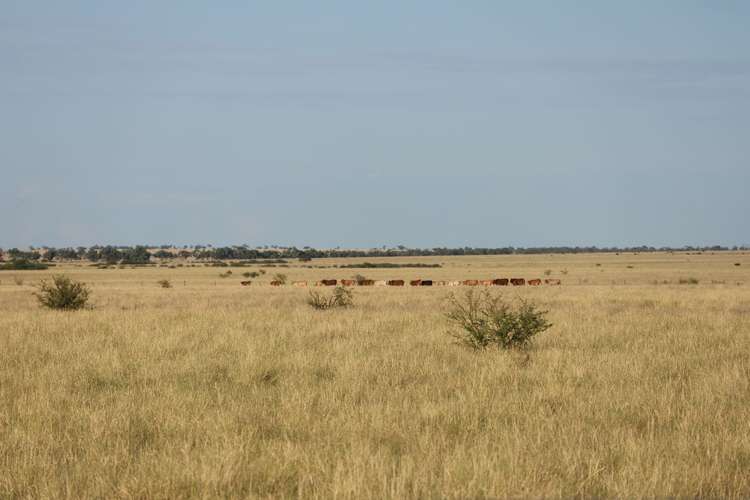 59203 Landsborough Highway, Longreach QLD 4730