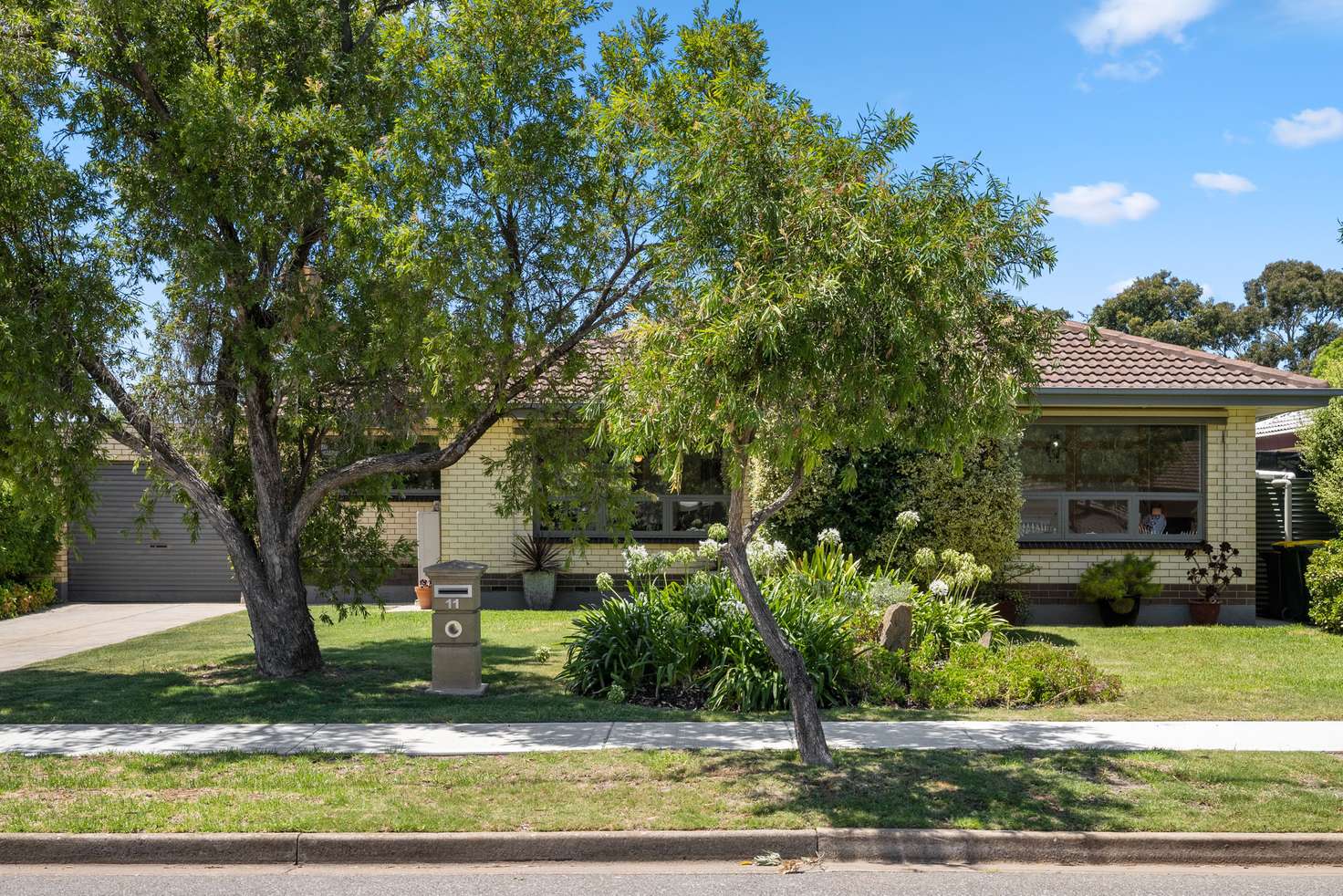 Main view of Homely house listing, 11 Douglas Street, Marion SA 5043