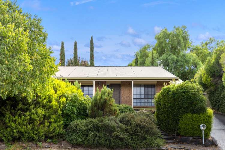 Main view of Homely house listing, 19 Lubbock Court, Wynn Vale SA 5127