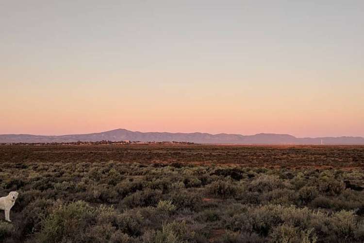 Main view of Homely residentialLand listing, 345C Caroona Road, Port Augusta West SA 5700