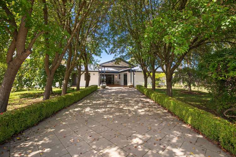 443 Toms Gully Road, Black Mountain NSW 2365