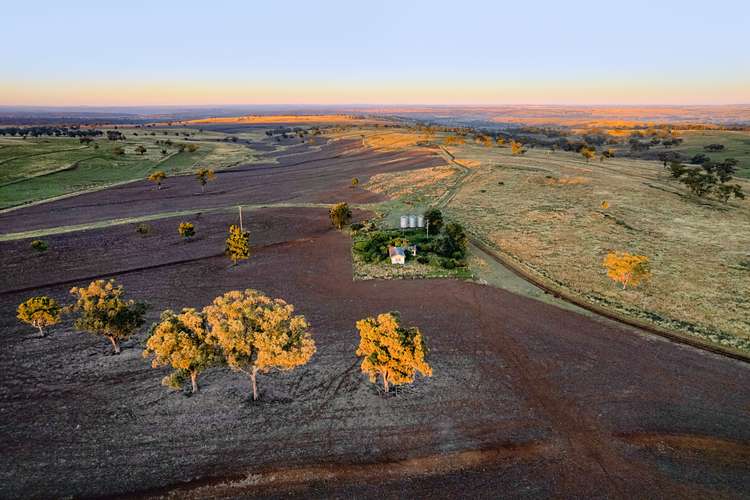 Main view of Homely mixedFarming listing, 7069 Golden Highway, Merriwa NSW 2329