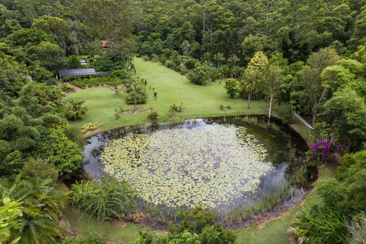 Main view of Homely house listing, 822 Cedar Creek Road, Belli Park QLD 4562