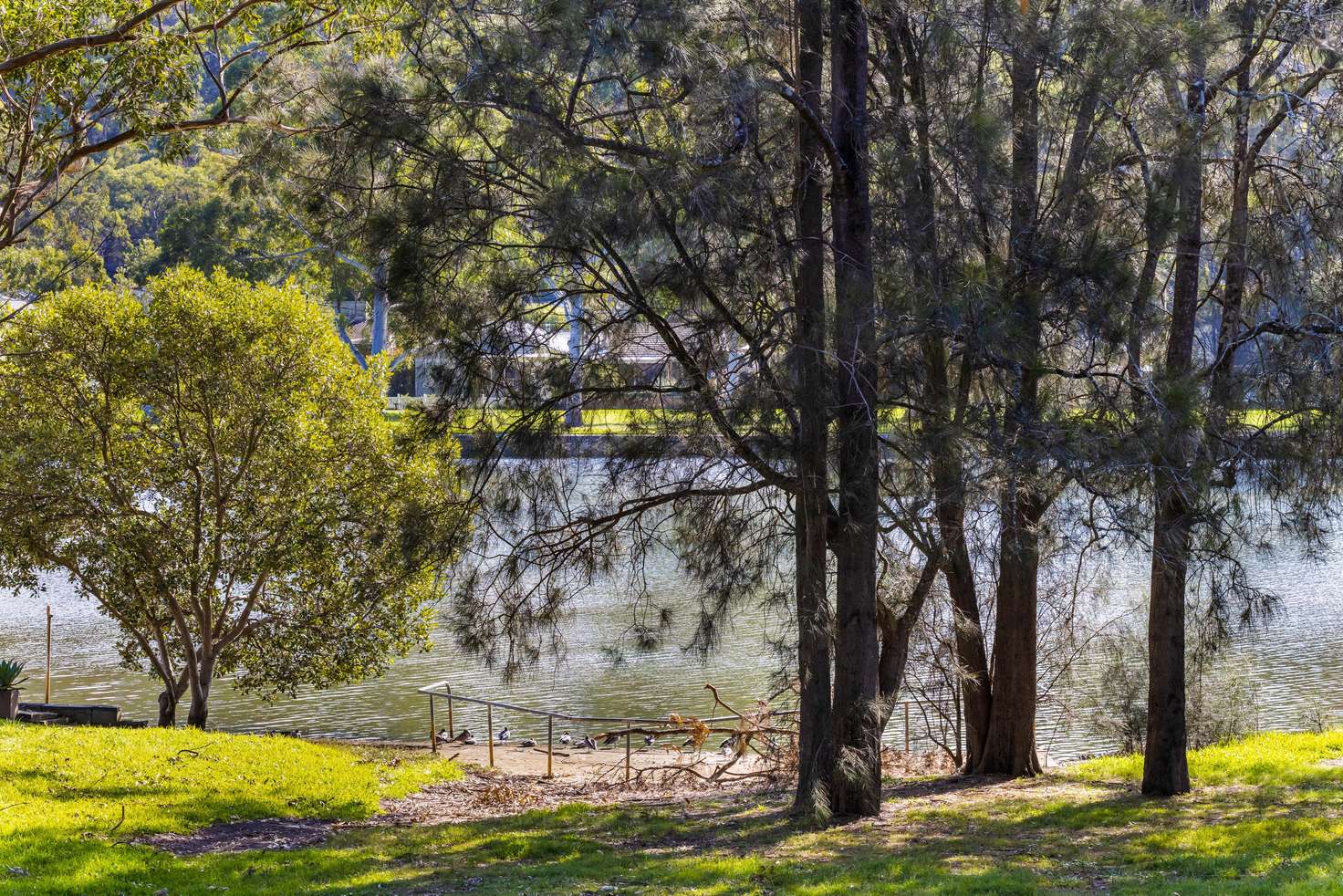 Main view of Homely house listing, 13 Liffey Place, Woronora NSW 2232