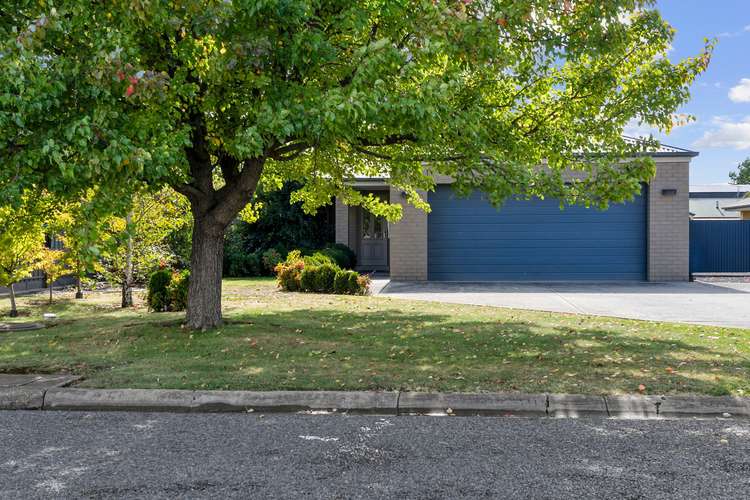 Main view of Homely house listing, 24 Geoffrey Street, Myrtleford VIC 3737